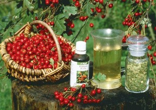 павышэнне патэнцыі ў жанчын